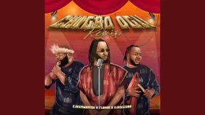 Flavour Songs